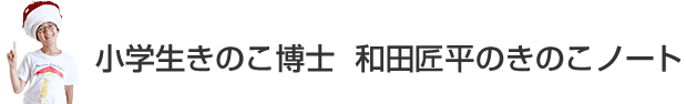 小学生きのこ博士　和田匠平のきのこノート